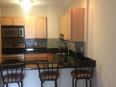 48 Coffey St unit 9D, Dorchester, MA 02122 - photo 5