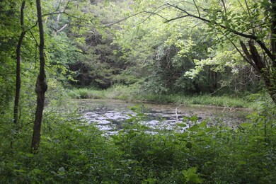 130E Highway 130, Shelbyville, TN 37160 - photo 5