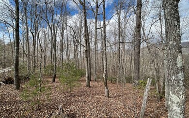 Additional View