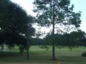 0 Jean Dr unit 283288, Crawfordville, FL 32327 - photo 3