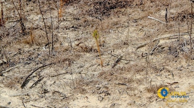 0 N Indian Trail Rd, Sandersville, GA 31082 - photo 7