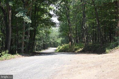 0 Tanglewood Dr, Augusta, WV 26704 - photo 6