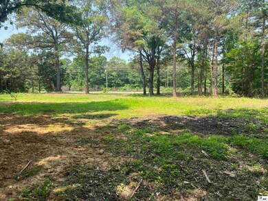 12670 Crossett Rd, Bastrop, LA 71220 - photo 6