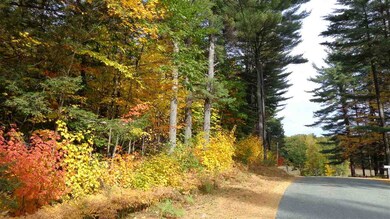 0 Mountainside Dr unit 4496495, Newbury, NH 03255 - photo 2