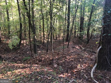 LOT 10 Triune Mill Rd, Thomaston, GA 30286 - photo 7