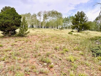 0 Aspen Dr unit M & B, Brian Head, UT 84719 - photo 4