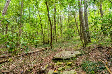 Long-Branch-Preserve-Lot-18-Photos-8