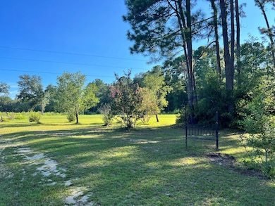 809 Ga Highway 56, Uvalda, GA 30473 - photo 4