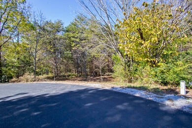 319 Gadusi Ln, Loudon, TN 37774 - photo 3