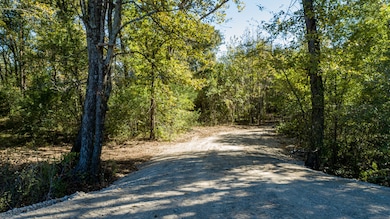 10081 Farm To Market Road 773, Ben Wheeler, TX 75754 - photo 2