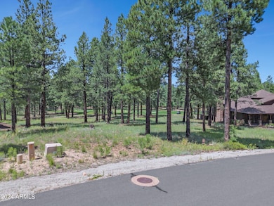 4-web-or-mls-TimberCreekImagery-4 (1)