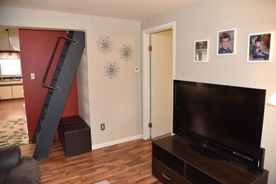 Access To The Loft