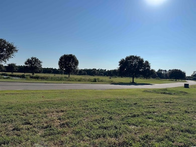 View of green lawn featuring a view of rural / pastoral area