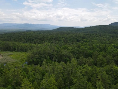 0 Marshall Phillips Rd unit 24033421, Brandon, VT 05733 - photo 7