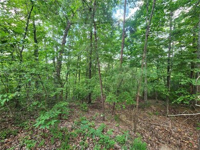 932 Apex Ct, Ranger, GA 30734 - photo 4