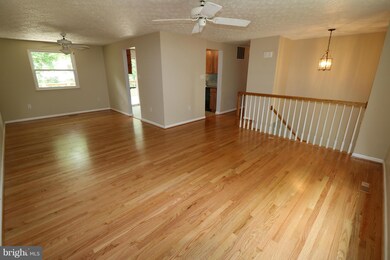 4402 Vantage Ct, Alexandria, VA 22306 - photo 5