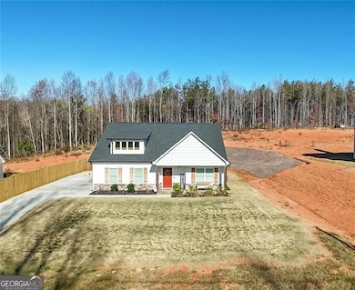 3039 Georgia 17, Clarkesville, GA 30523 - photo 2