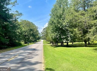 460 Welcome To Arnco Rd, Newnan, GA 30263 - photo 3