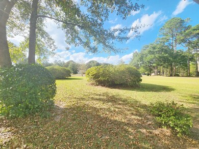 205 James Dr, Albany, GA 31705 - photo 4