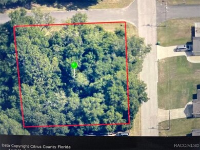 358 N Charles Ave, Inverness, FL 34453 - photo 5