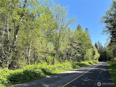 1 NKA N Bayview Dr, Port Ludlow, WA 98365 - photo 3