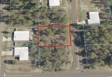 TBD SW 132nd Place, Ocala, FL 34473 - photo 4