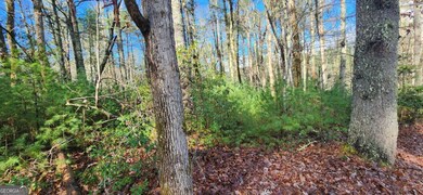 3 LOTS Ridgecrest Dr unit 76,78,80, Blue Ridge, GA 30513 - photo 2