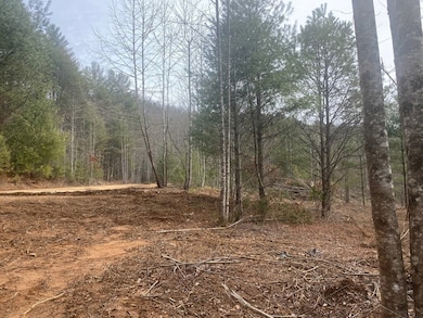 0 Flea Mountain Rd unit 417912, Murphy, NC 28906 - photo 6