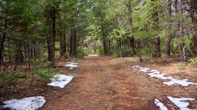 Driveway View