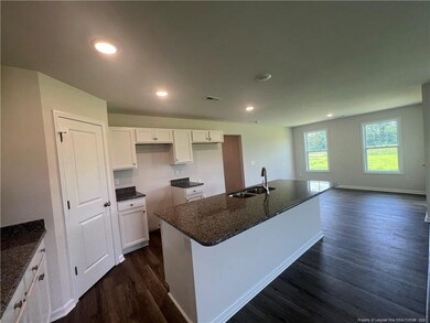 92 Dalton Dr, Lumber Bridge, NC 28357 - photo 2