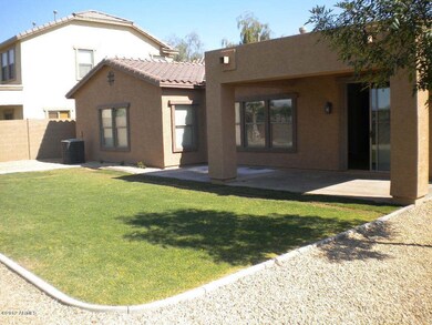 Back yard