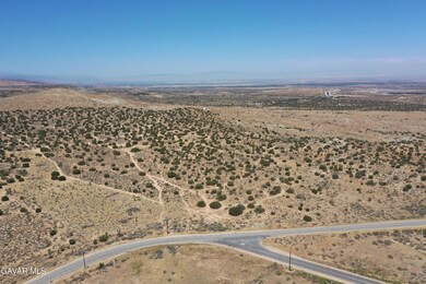 DJI_0963