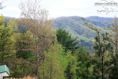 65 W Ridge Dr, Ferguson, NC 28624 - photo 6