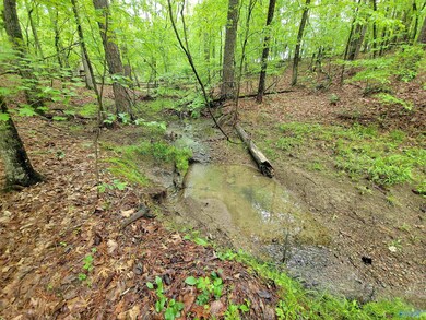 2.5 Aqua Vista Dr E, Tidmore Bend, AL 35901 - photo 7