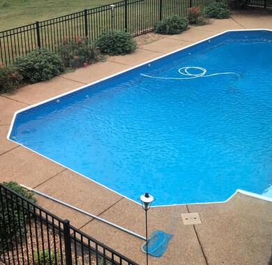 Pool in summer