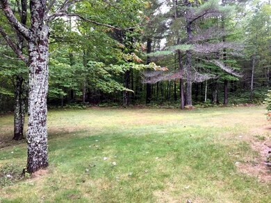 225 Pine River Path, Effingham, NH 03882 - photo 5