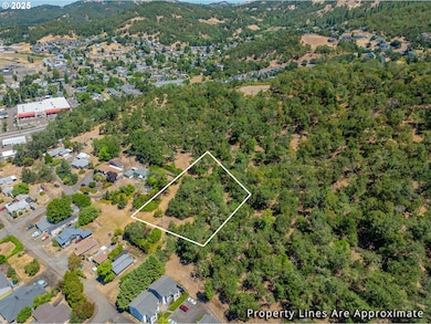 1111 NE Crescent Aly, Roseburg, OR 97470 - photo 5