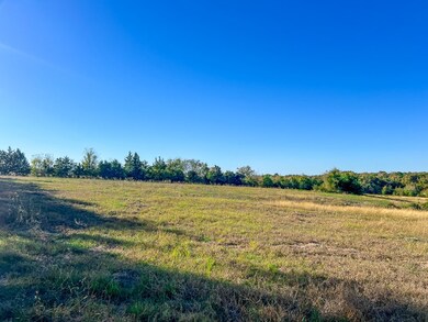 Tract #1 Farm To Market 1774, Anderson, TX 77830 - photo 4