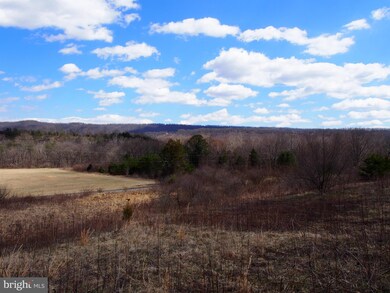 0 Puffenburger unit 1000088937, Hedgesville, WV 25427 - photo 6