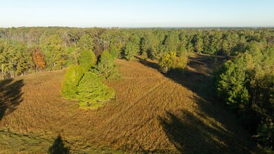 00 Vaughan Ln, Morton, MS 39117 - photo 5