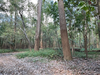 0 Cavass Rd, Woodville, MS 39669 - photo 3