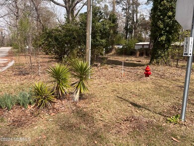 402 Hickory Ct, Jacksonville, NC 28540 - photo 2