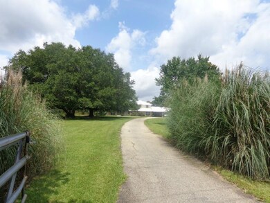 24487 Choctaw Rd, Franklinton, LA 70438 - photo 3