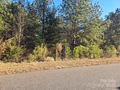 283 Rivercliff Dr unit 20, Stony Point, NC 28678 - photo 5