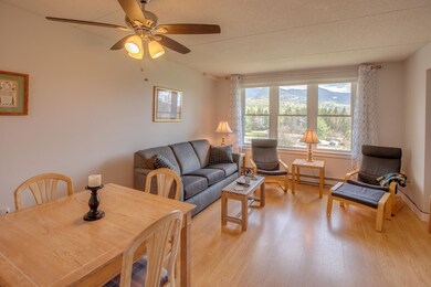 28 Packard Rd unit 523, Waterville Valley, NH 03215 - photo 2