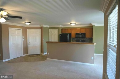 2402 Ellsworth Way unit 2C, Frederick, MD 21702 - photo 7