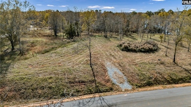 0 Bridge View Ct unit 623050, Newberry, SC 29127 - photo 7