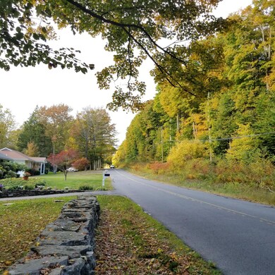 L 1 Laurel Rd, Covington Township, PA 18444 - photo 6