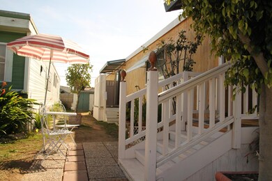Sunny location
