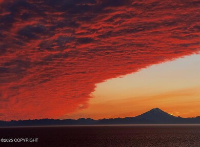 thumbnail_Screenshot 2025-10-17 at 1.04.